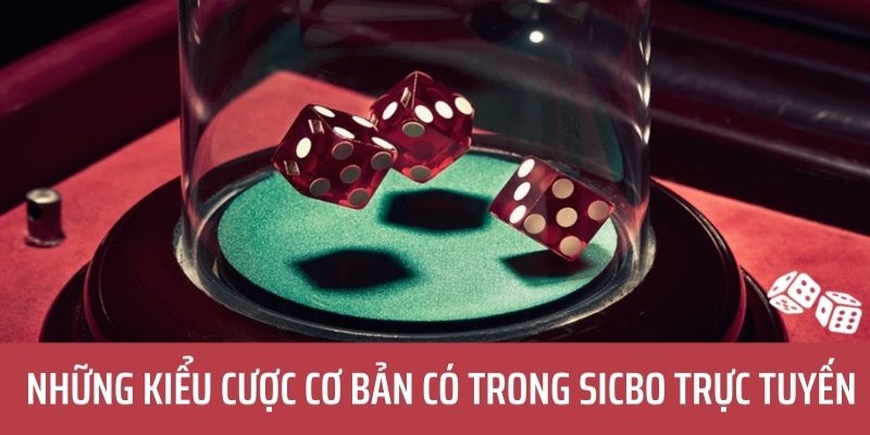 Tìm hiểu về bộ môn sibo đổi thưởng