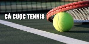 cá cược tennis