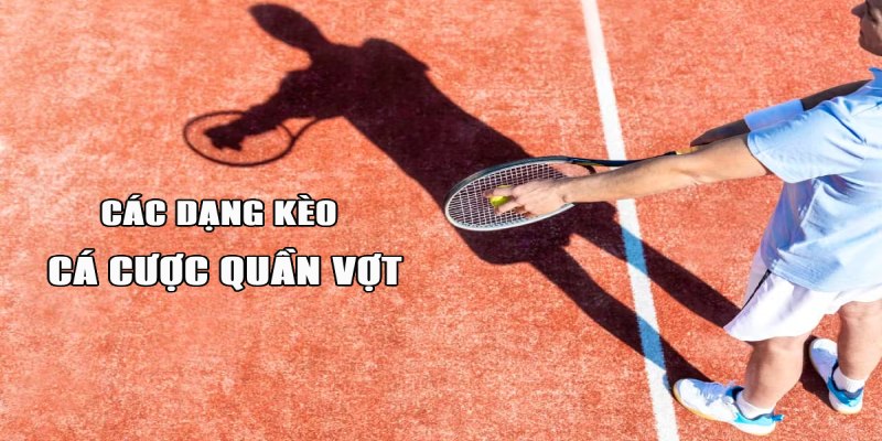 Các dạng kèo quần vợt hấp dẫn kiếm thưởng cực ngon