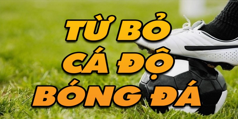 Lý do nên từ bỏ cá độ